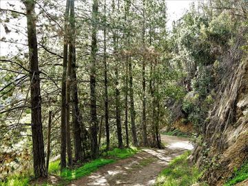 Parcela en Venta en La Isla - La Vega, Cuesta La Dormida - Olmué