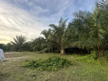 Land for sale in Thung Krabue, Trang