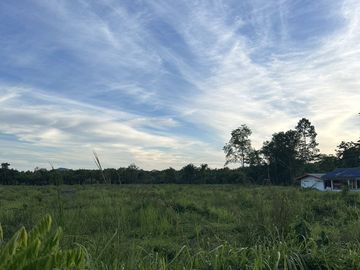 Land for sale in Thung Krabue, Trang