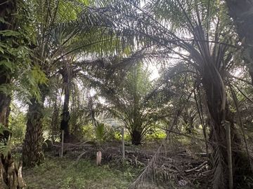 Land for sale in Thung Krabue, Trang