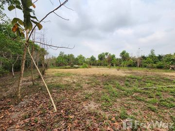 Land for sale in Nong Rong, Saraburi