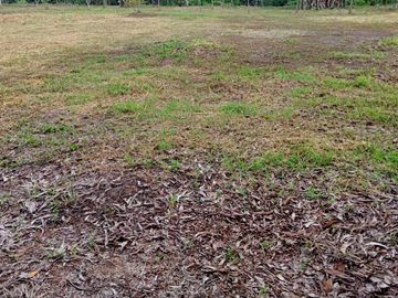 Land for sale in Nong Rong, Saraburi