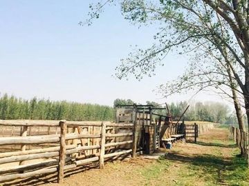 Casa en Venta en San Rafael, San Rafael, Mendoza, Argentina