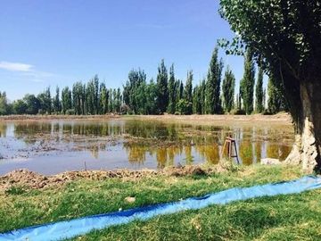 Casa en Venta en San Rafael, San Rafael, Mendoza, Argentina