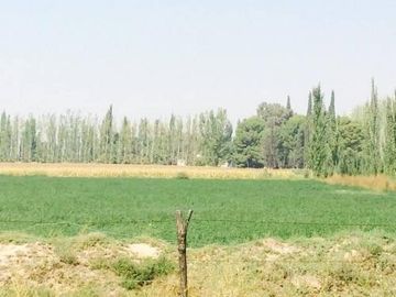 Casa en Venta en San Rafael, San Rafael, Mendoza, Argentina