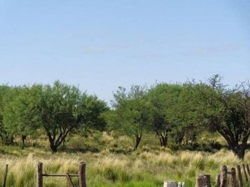 Casa en Venta en Chacharramendi, Utracan, La Pampa, Argentina