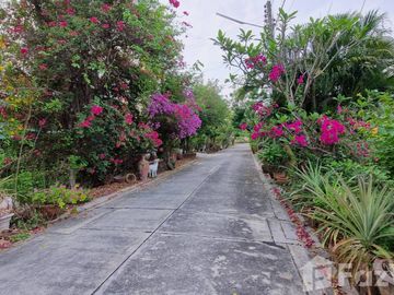 Land for sale in Samet, Chon Buri
