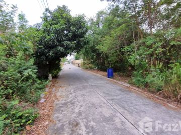 Land for sale in Samet, Chon Buri