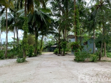Land for sale in Klai, Nakhon Si Thammarat