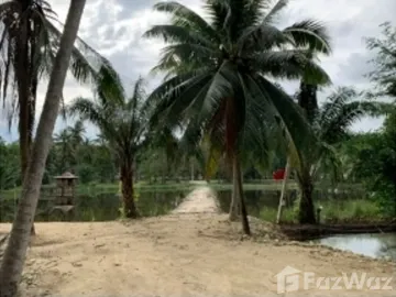 Land for sale in Klai, Nakhon Si Thammarat