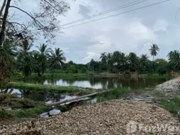 Land for sale in Klai, Nakhon Si Thammarat