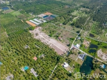 Land for sale in Klai, Nakhon Si Thammarat
