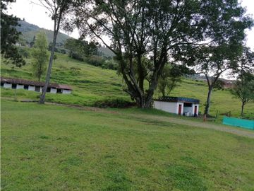 FINCA EN VENTA LA ESTRELLA LA TABLAZA