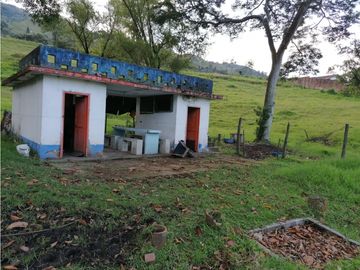 FINCA EN VENTA LA ESTRELLA LA TABLAZA