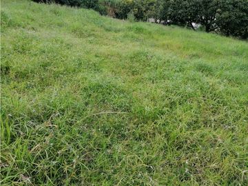 FINCA EN VENTA LA ESTRELLA LA TABLAZA