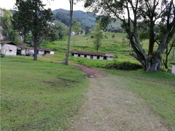 FINCA EN VENTA LA ESTRELLA LA TABLAZA