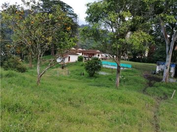 FINCA EN VENTA LA ESTRELLA LA TABLAZA
