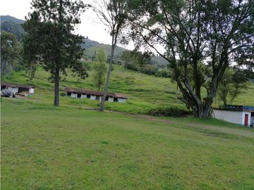 FINCA EN VENTA LA ESTRELLA LA TABLAZA