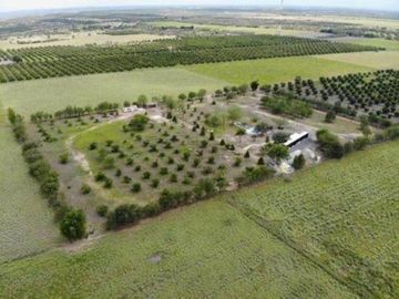 QUINTA en ALLENDE CON ALBERCA 22.000 M2 Y ARBOLES FRUTALES (SS HQV-029-56439)