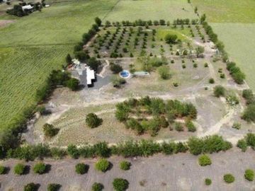 QUINTA en ALLENDE CON ALBERCA 22.000 M2 Y ARBOLES FRUTALES (SS HQV-029-56439)