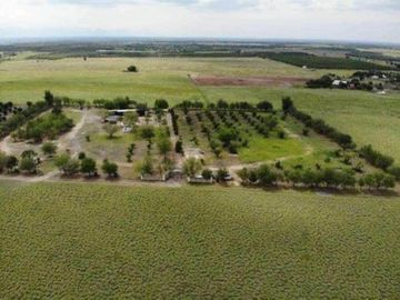 QUINTA en ALLENDE CON ALBERCA 22.000 M2 Y ARBOLES FRUTALES (SS HQV-029-56439)