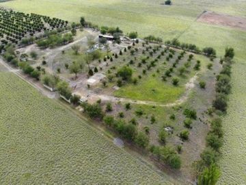 QUINTA en ALLENDE CON ALBERCA 22.000 M2 Y ARBOLES FRUTALES (SS HQV-029-56439)