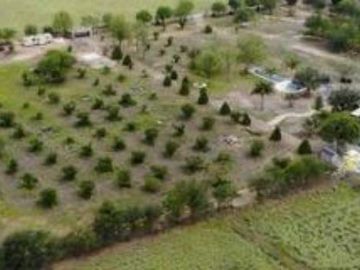QUINTA en ALLENDE CON ALBERCA 22.000 M2 Y ARBOLES FRUTALES (SS HQV-029-56439)