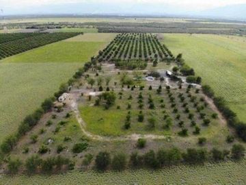 QUINTA en ALLENDE CON ALBERCA 22.000 M2 Y ARBOLES FRUTALES (SS HQV-029-56439)