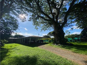 Casa campestre de 1.500m2 en venta Barrio Belén Palmira Valle Colombia