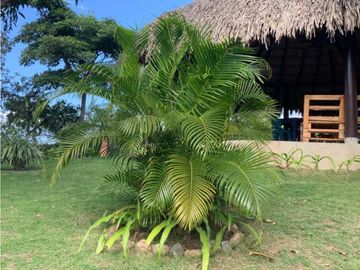 Preciosa cabaña de 5000m2 de terreno, sector bonda-masinga