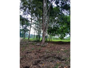VENDO LOTE.DE 1000 M VA VOLCAN