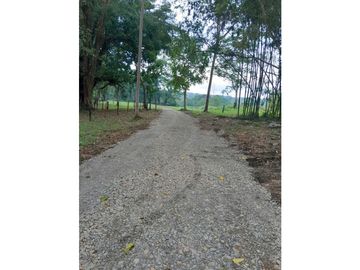 VENDO LOTE.DE 1000 M VA VOLCAN