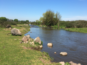 Sitio en Venta en J-40