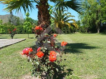 Casa en Venta en Colegio San Felipe de Diacono