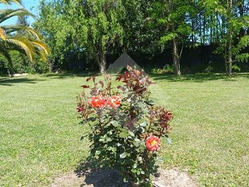 Casa en Venta en Colegio San Felipe de Diacono