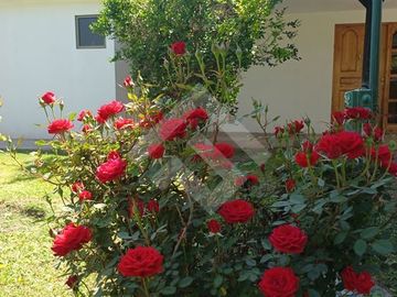 Casa en Venta en Colegio San Felipe de Diacono