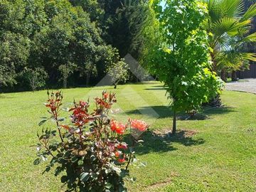 Casa en Venta en Colegio San Felipe de Diacono