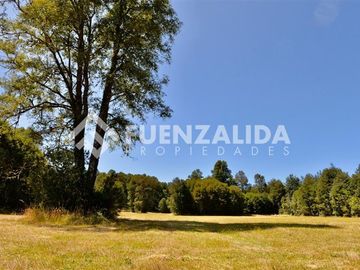 Agrícola en Venta en camino Los Lagos