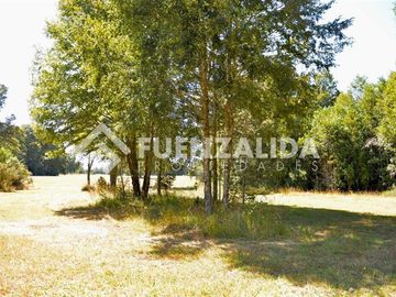 Agrícola en Venta en camino Los Lagos