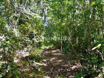 Agrícola en Venta en camino Los Lagos