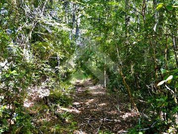 Agrícola en Venta en camino Los Lagos