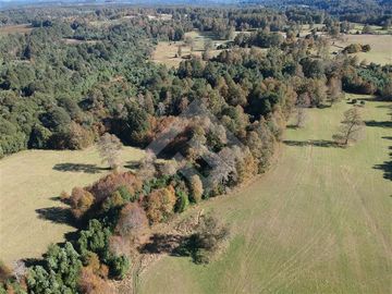 Agrícola en Venta en camino Los Lagos