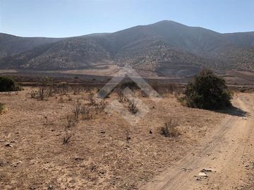 Agrícola en Venta en EL PEÑON