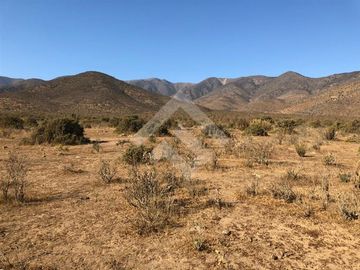 Agrícola en Venta en EL PEÑON