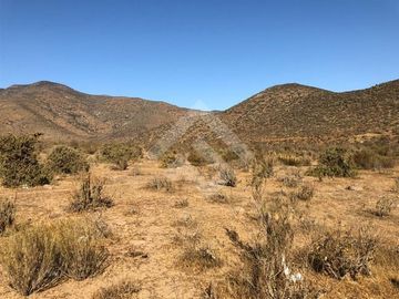 Agrícola en Venta en EL PEÑON