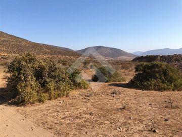 Agrícola en Venta en EL PEÑON