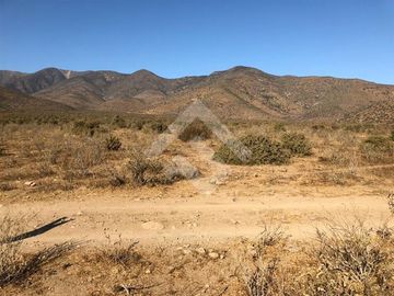 Agrícola en Venta en EL PEÑON