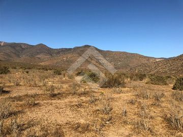 Agrícola en Venta en EL PEÑON
