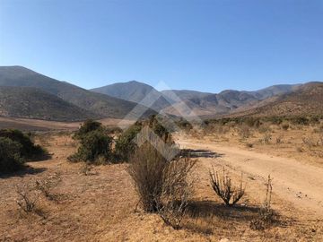 Agrícola en Venta en EL PEÑON