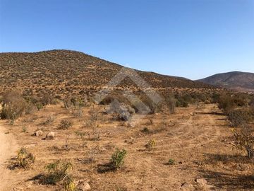 Agrícola en Venta en EL PEÑON